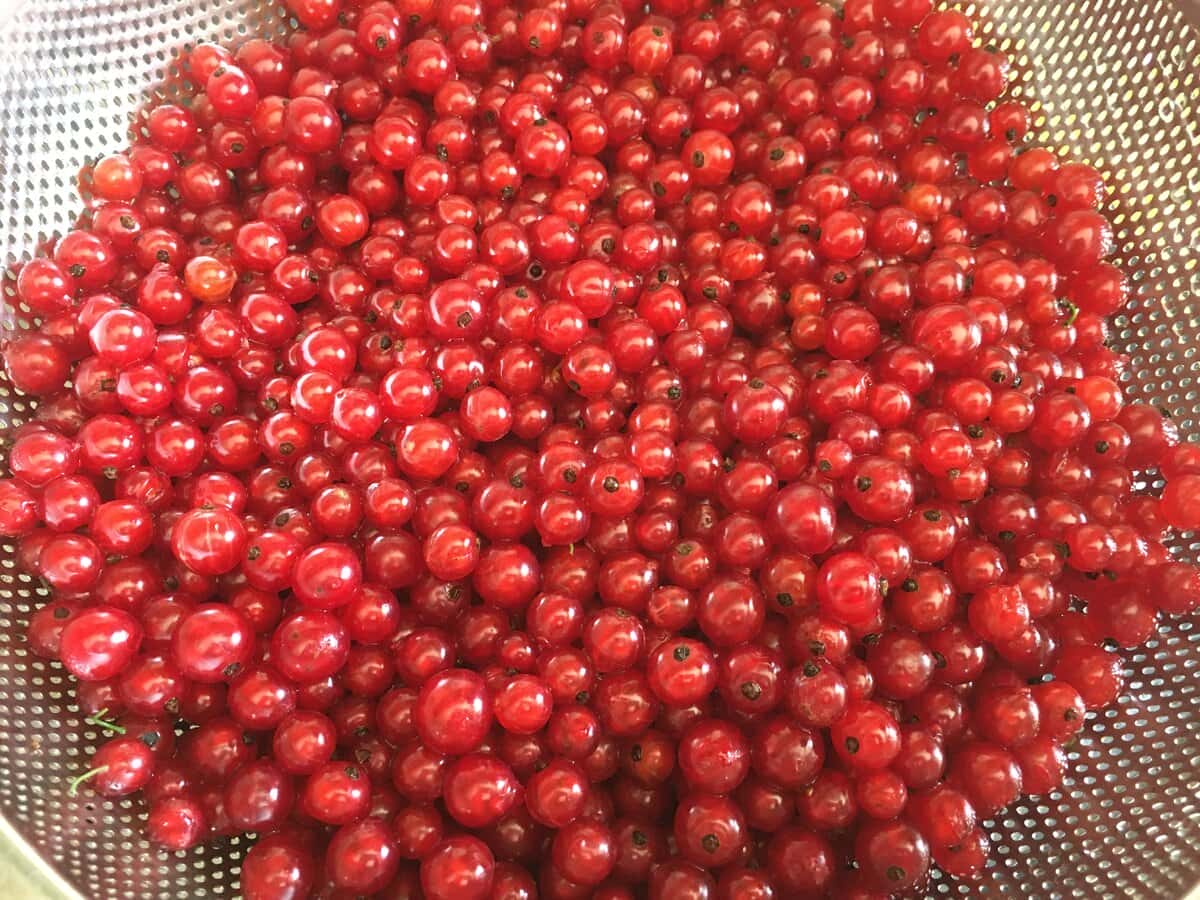 40cd74898c4eeb6ad2a61b0b20d551ff