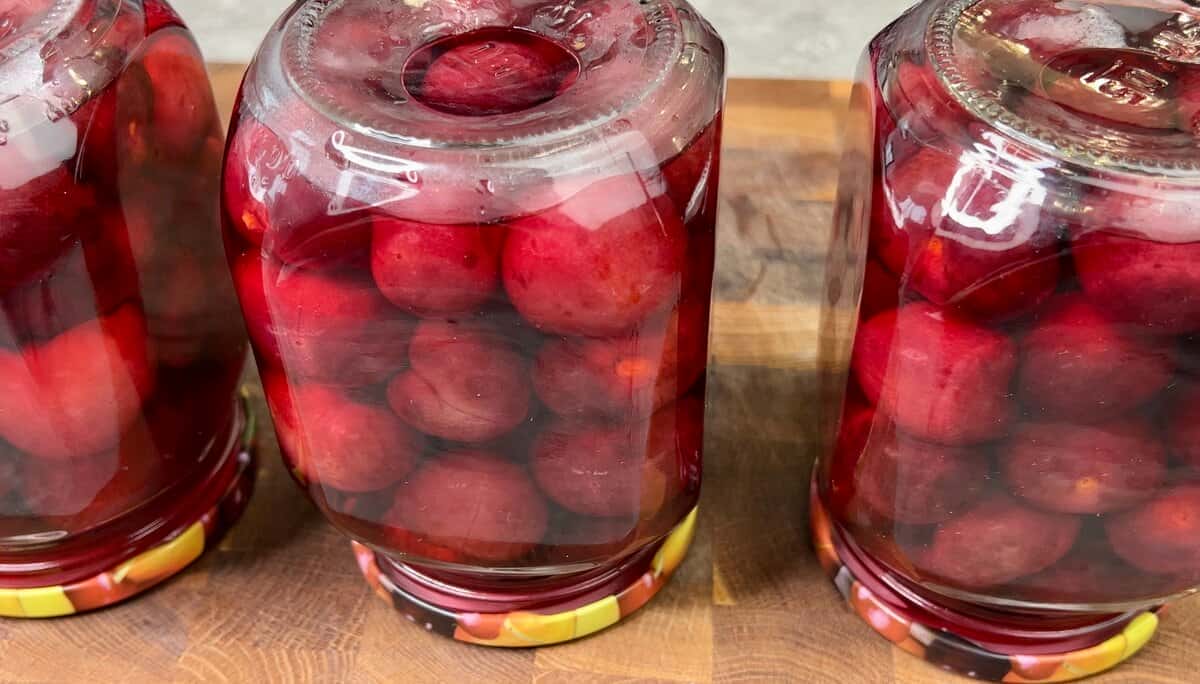 6afa032d423ce0f9894bfe391590ad70