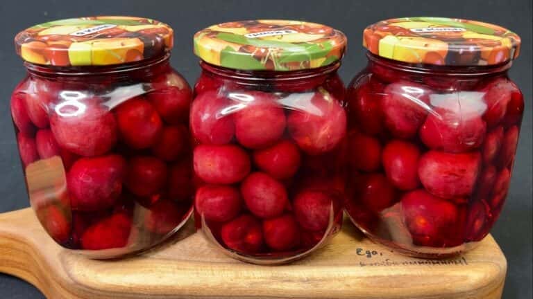 6bb378057a22709dc3e9ba0bc72175f4