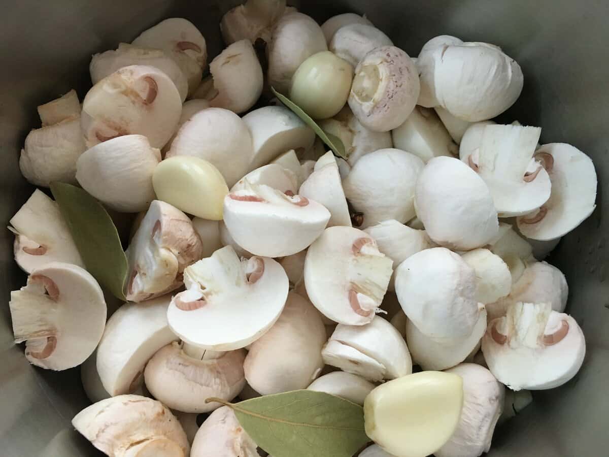 856ea7be6d98bf8ddcfebfd6ee2278b2