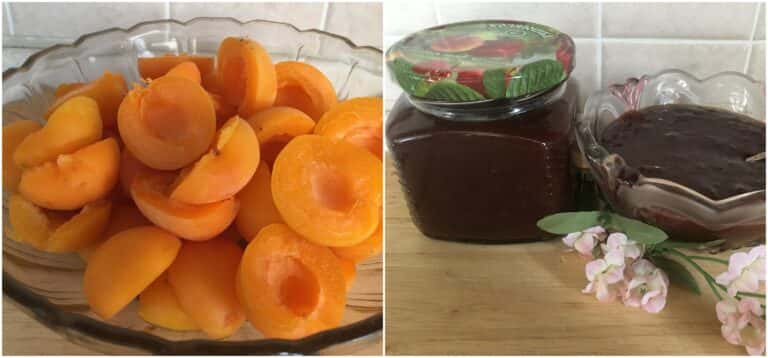 abrykosovyy dzhem z shokoladom