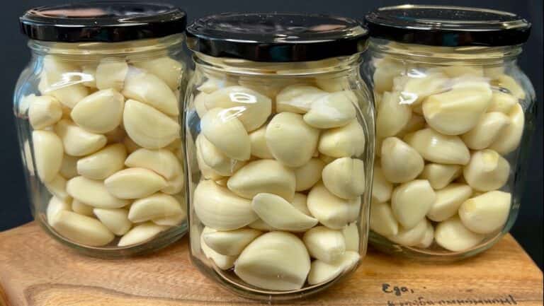 ac8f746a7a5fd279aef09bb439b97900