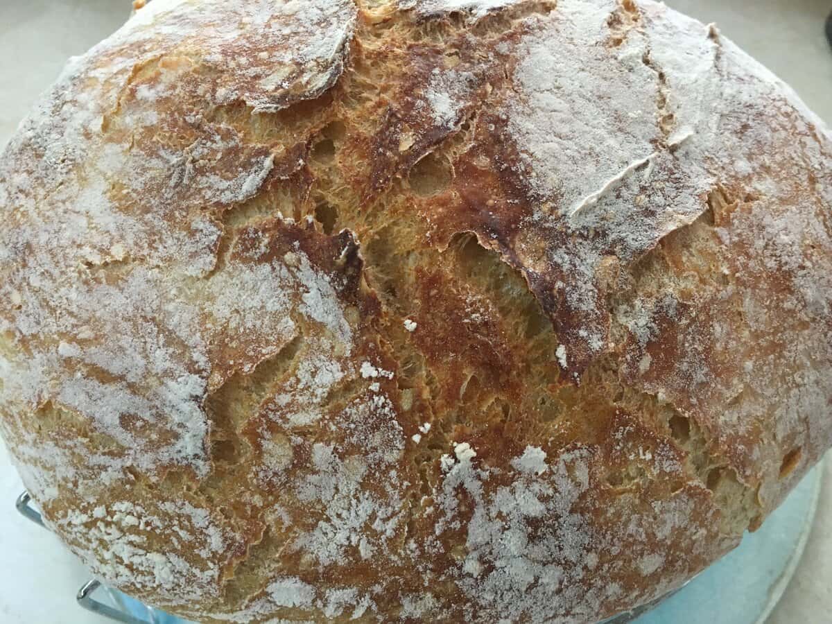 bf2d76b4729b476ace7c43d1906746f2