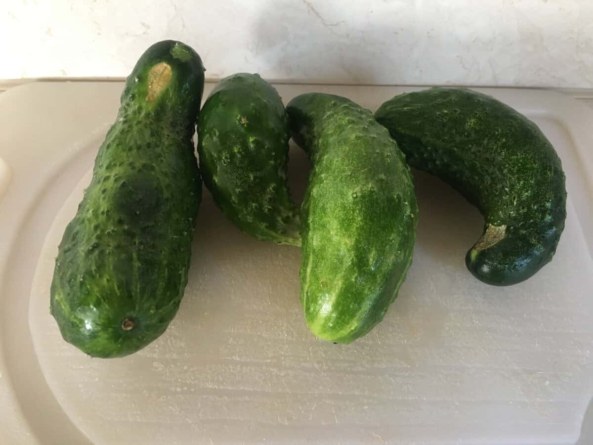 f9580693618e9976b0b553cc725e0775