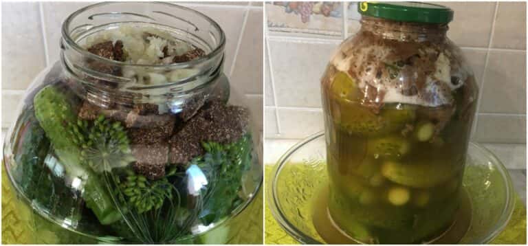 kvasheni ohirky z hlibom