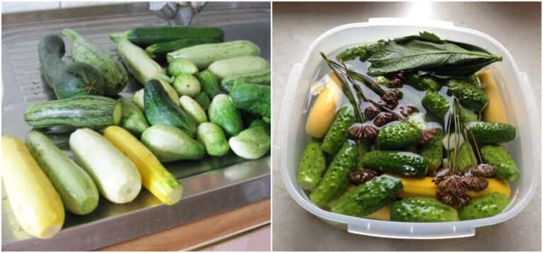 malosolni ohirky i kabachky