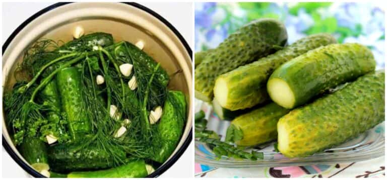 malosolni ohirky na mineraltsi