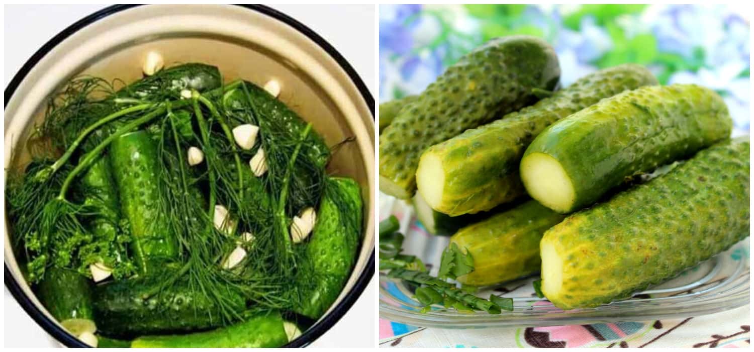 Малосольні хрусткі огірочки швидким способом: готуються просто і буквально за 12 годин вже можна їсти