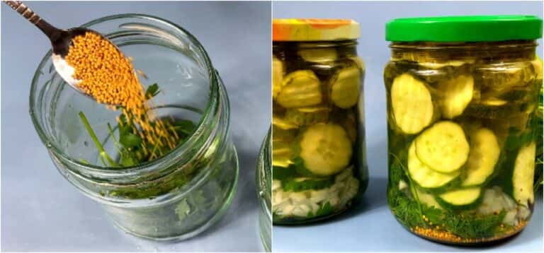 ohirky z hirchytseyu