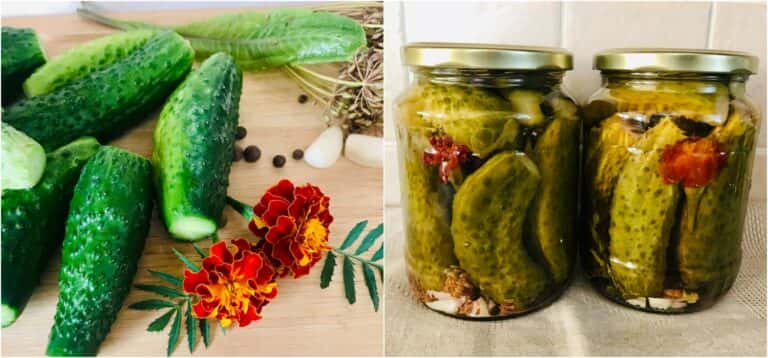 ohirky z kvitamy chornobryvtsiv na zymu