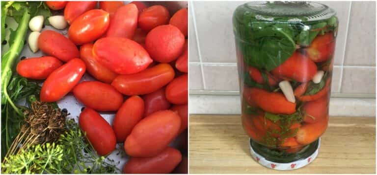 pomidory na zymu bez otstu