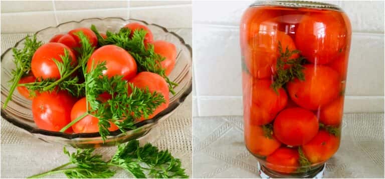 pomidory z morkvyanym badyllyam