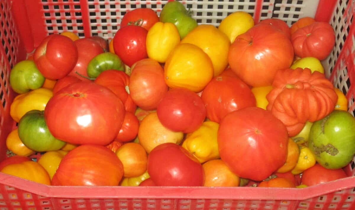 070bf88565f1aa76253933e4a58e8d04