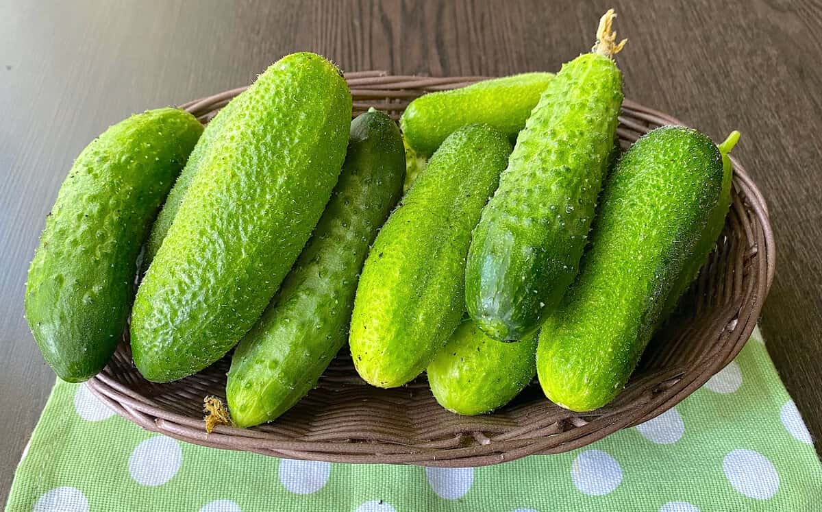 301254547388883471741de0be5aac3b