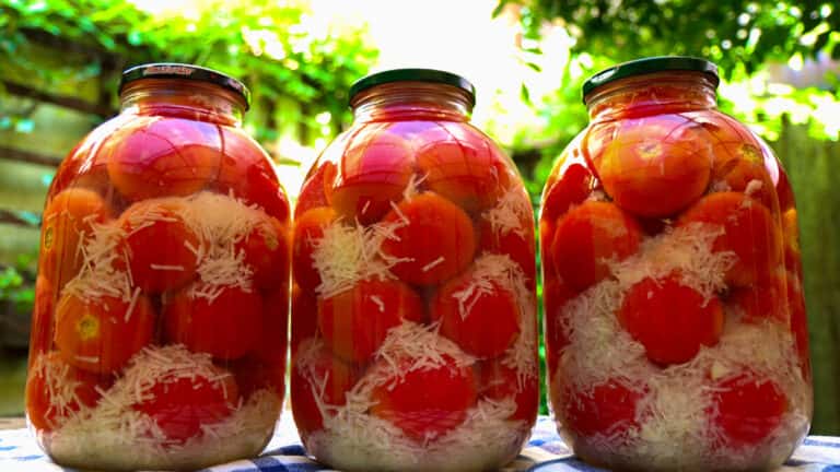 51b889dbd9133e10378dd2ca2ce91ffa