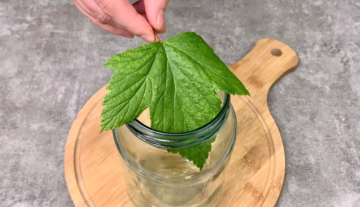 9316da7c7610423af705af97e585ad6b