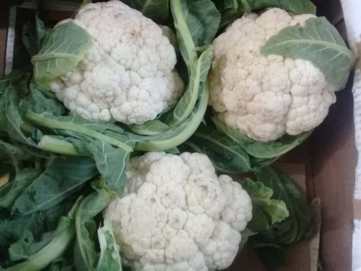 94745688682c131f8d14c84e7ffb0bbf