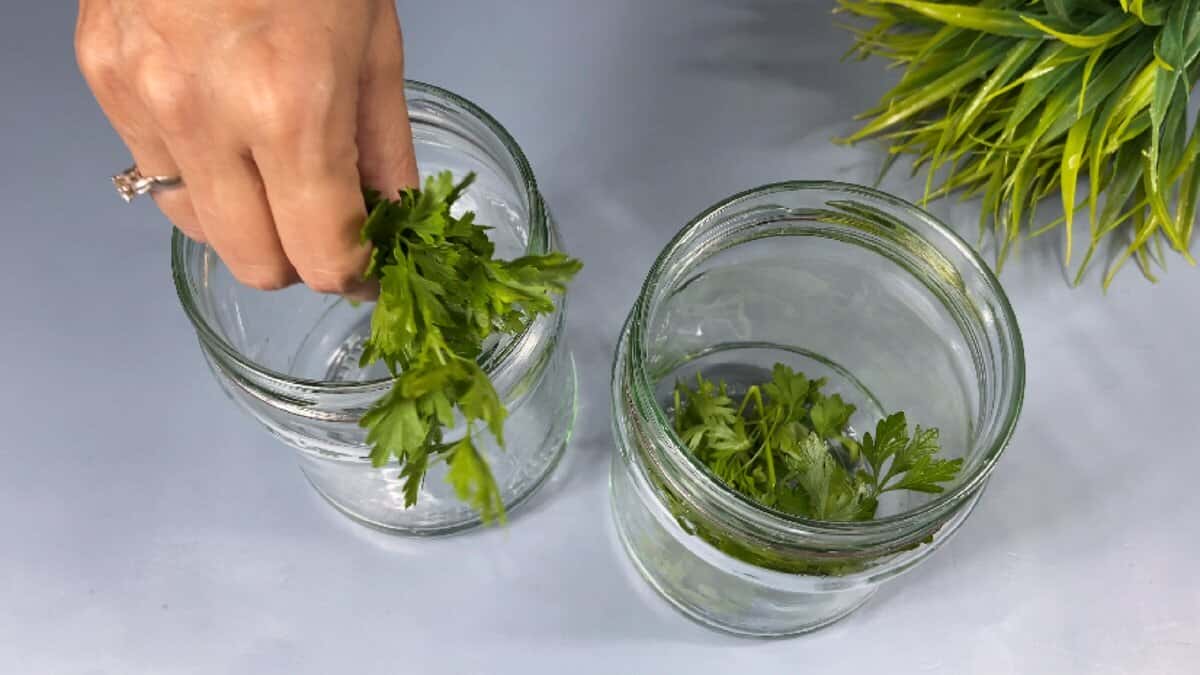 a3d096dfeb69a1b8af0bf3d5c77f8e6b