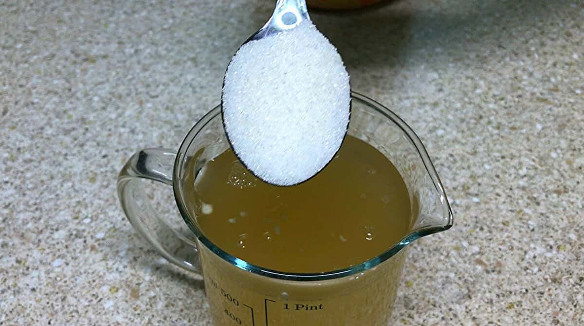 a5f5edad446fd8ed0022eeb101498986