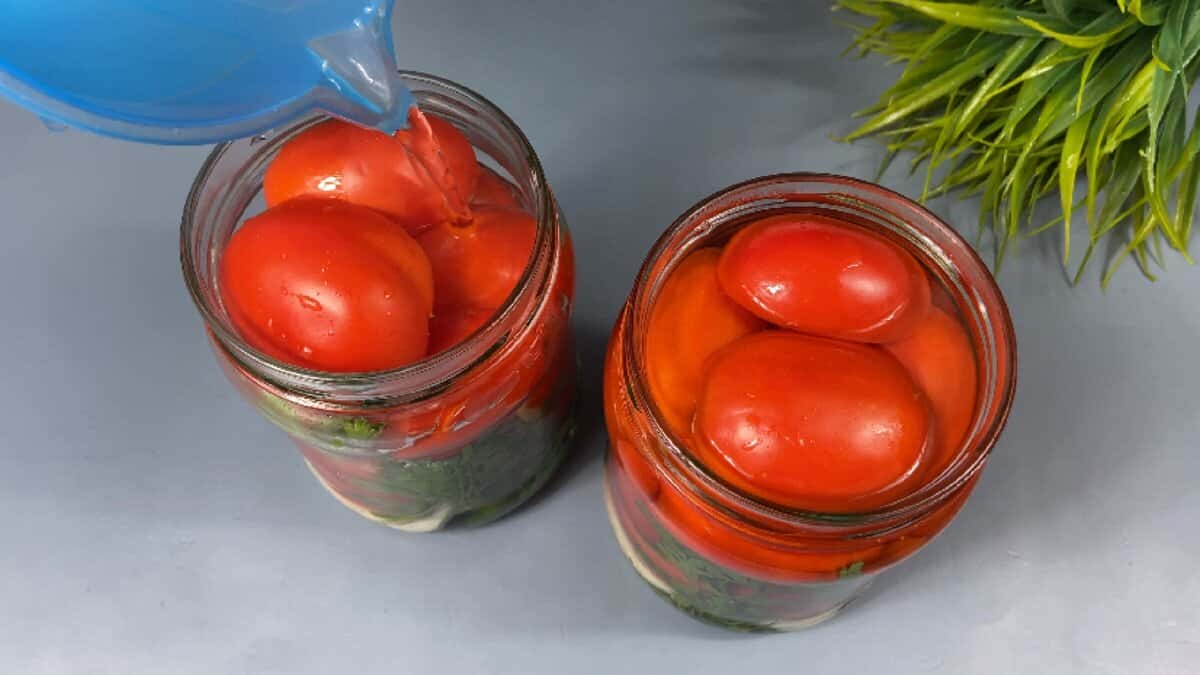 cda1ee0a57bb2adc021a1f1298d49ef1