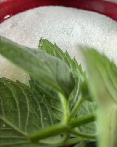 fda1c283c842998c354dbb8a379a0200