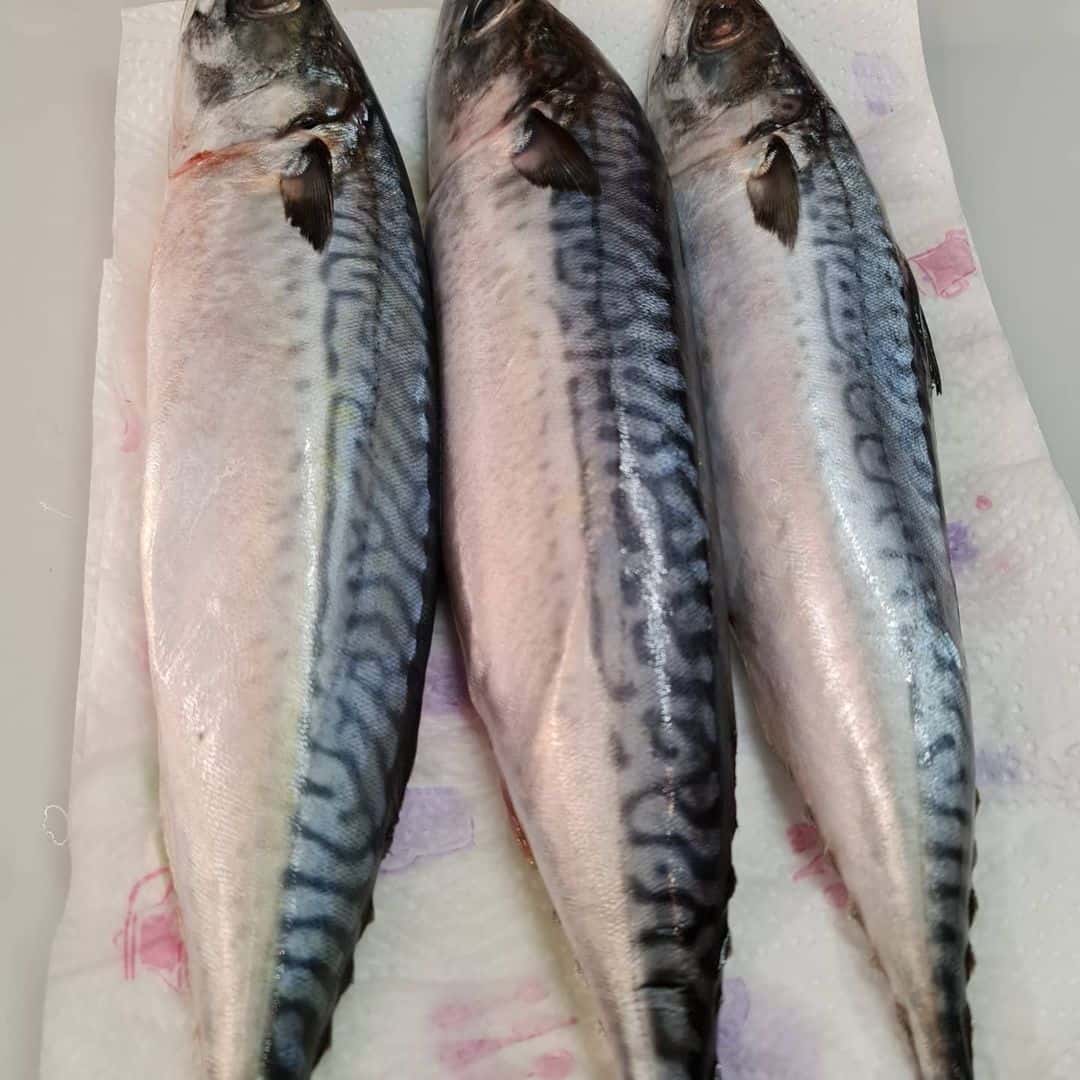 0d18f87b096a39d0122d4e6269801e4b