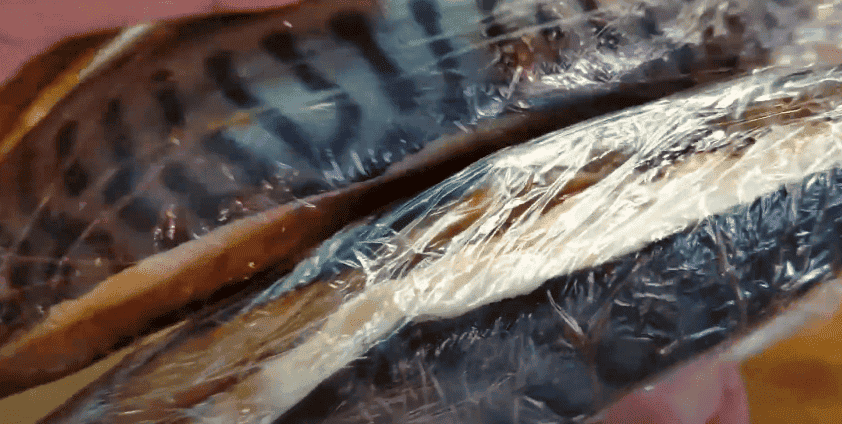 Малосольна скумбрія в домашніх умовах: простий і дуже смачний рецепт, який вас точно здивує