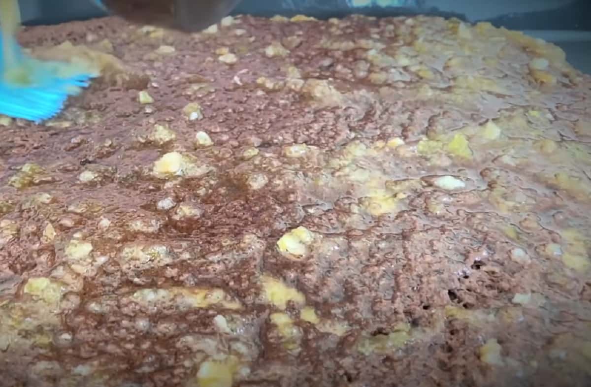 433dd7c7f8ff22d335a8c8959c1518d9