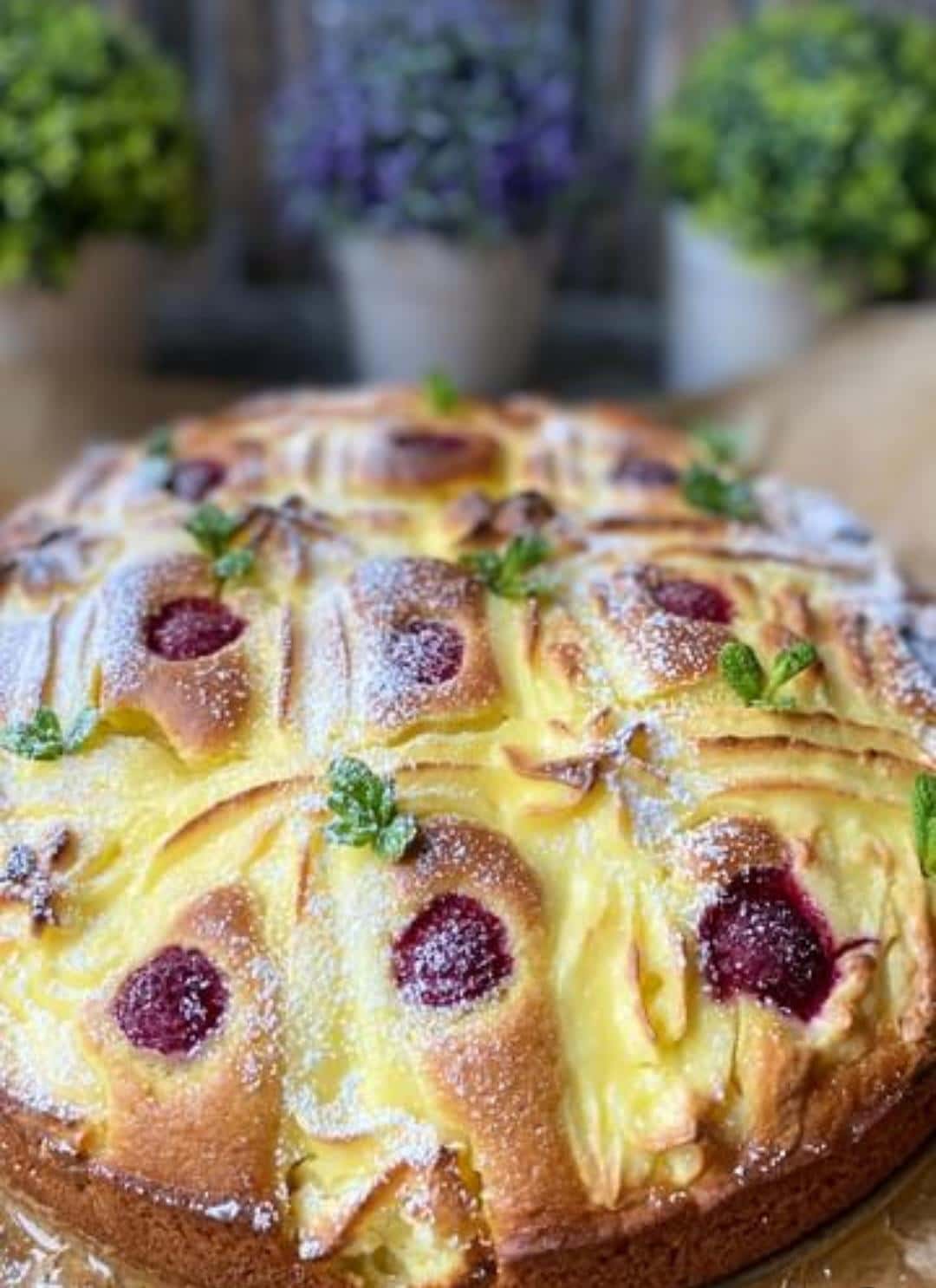 444e818e988425c8b19356d58fa827b6