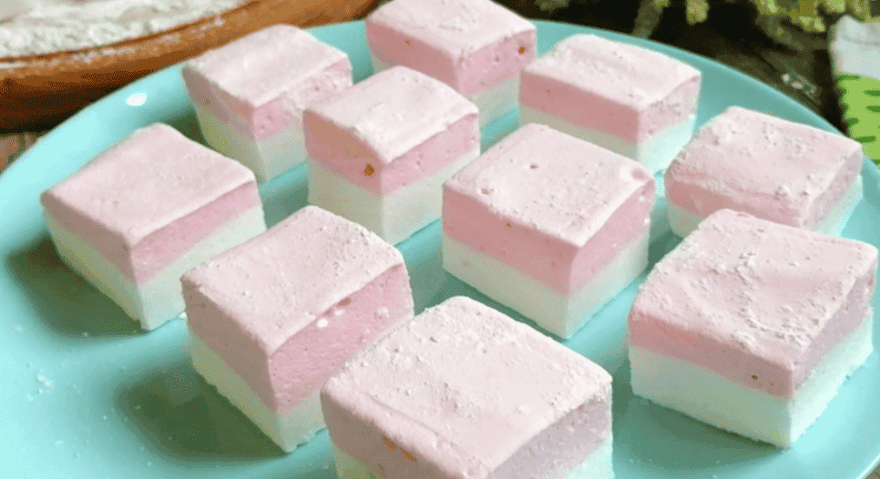 a21f1a8b4b4db669488a537773aeb1c1