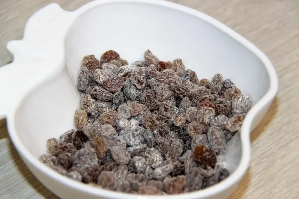 e95d6e3a0db7e69a91f342d95d007156