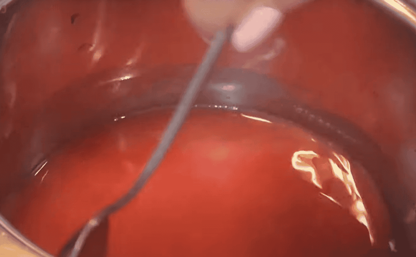 373088469e5a8d007531fb75ebfb4d19