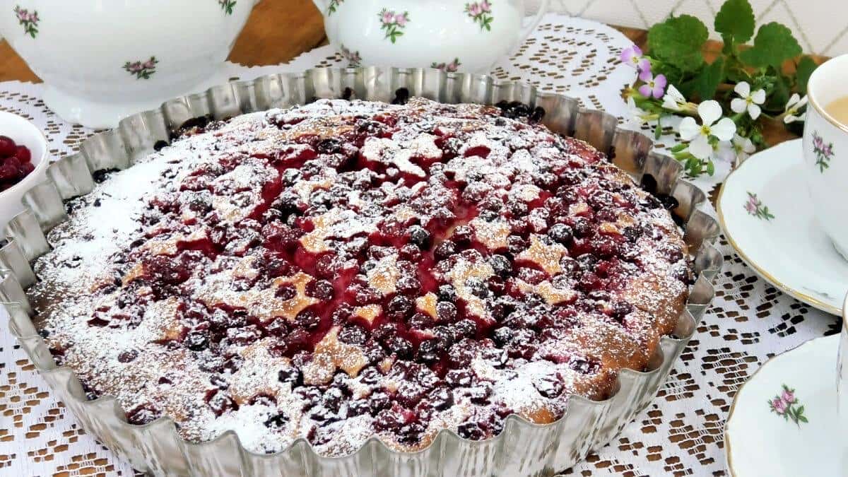 8a65630cc8ad210564140424e5d52298