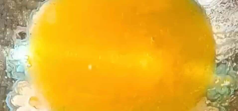 b31f94559c5f351a6502ed00949a9f95