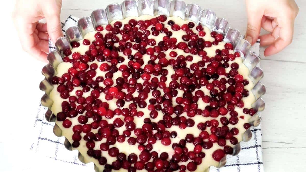 bcc01a272a6374d159bafab2ca8b3f22