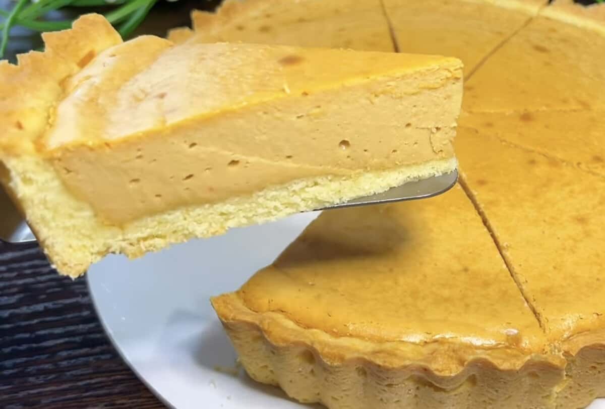 02c87eb2e1bc64e896058c881b891a5c