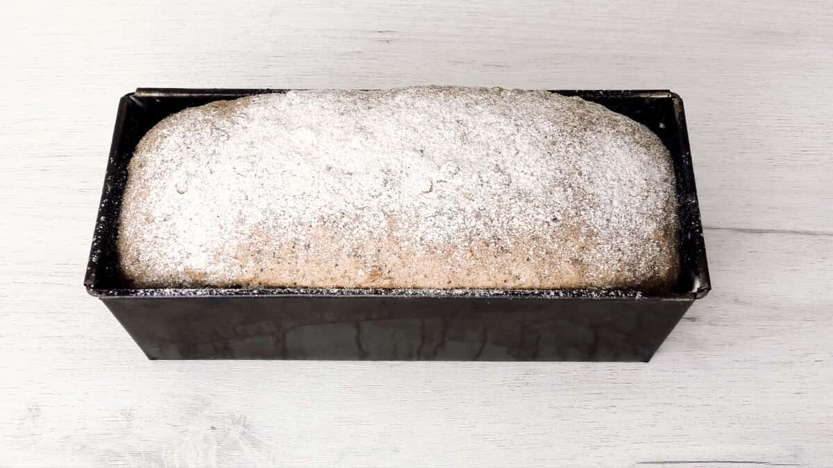 0d7bd52f2383a1f9c943c3cea2a5d350