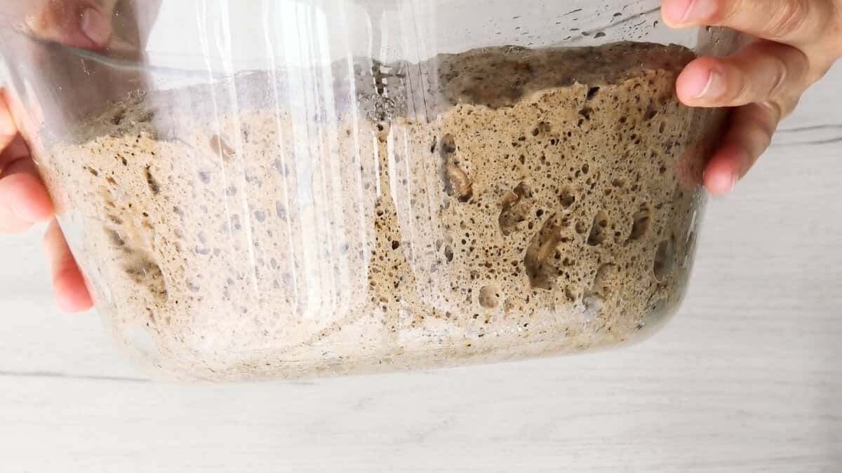 6dd32e9fa2ef5f6eeda842c924ddf339