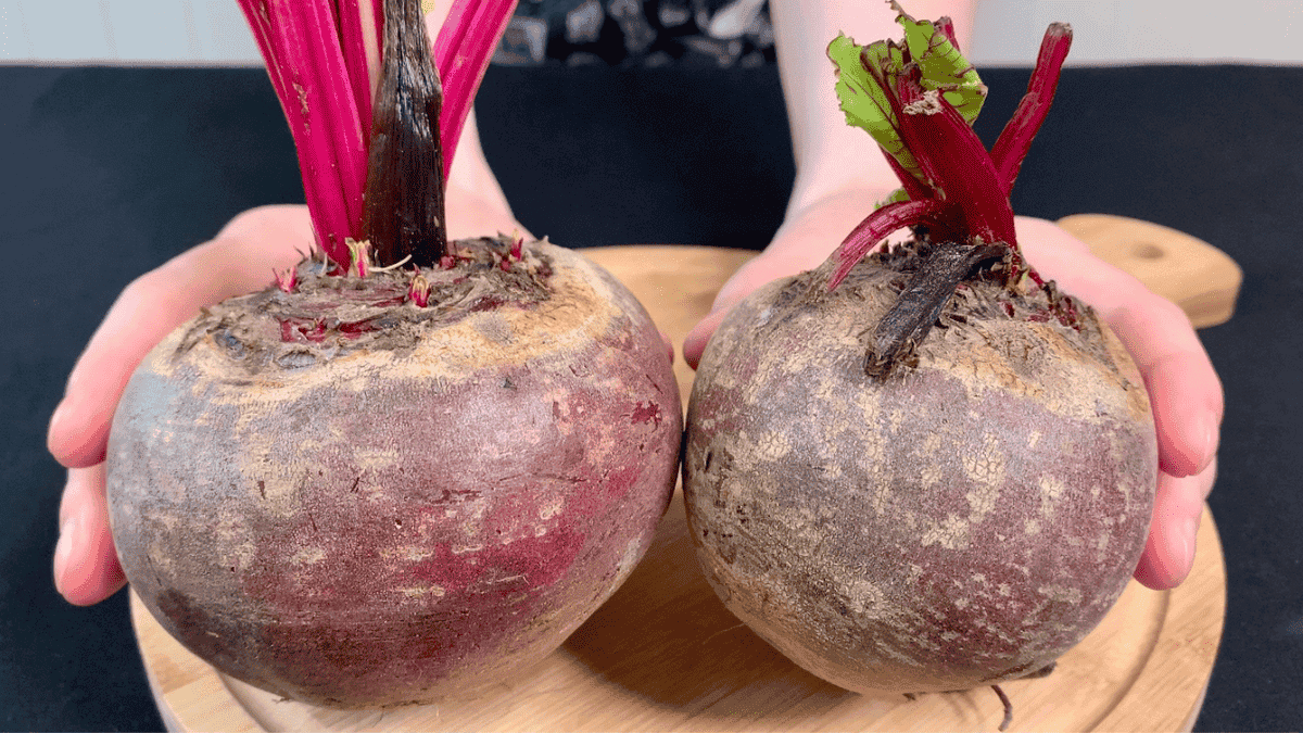 6ea7803dd5d09681d1ae9ded210ffabd