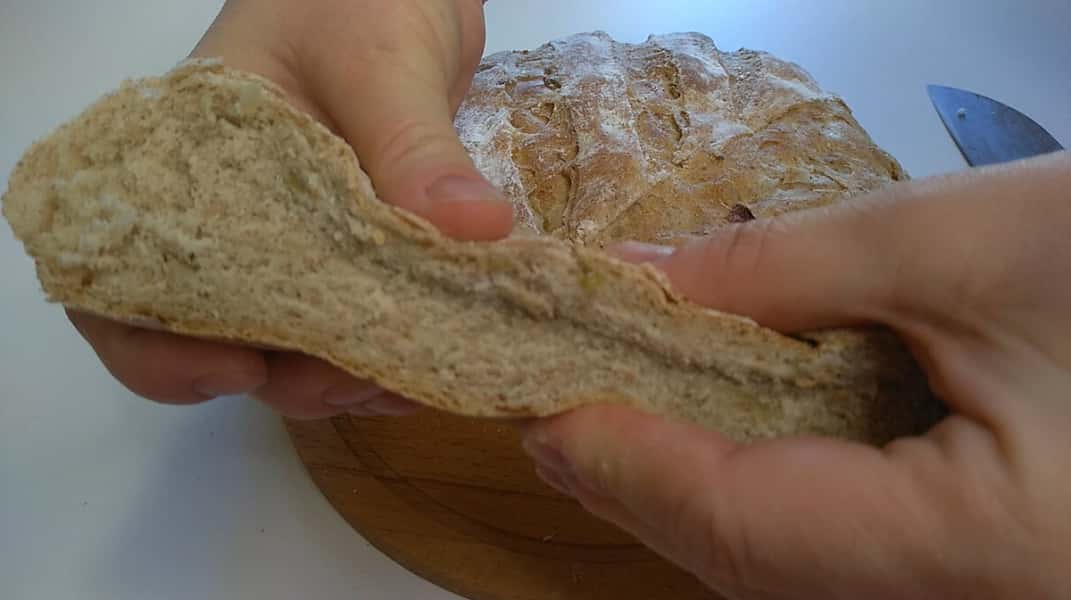 0e688838a5bbd962358cc7554149a721