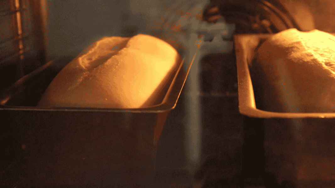 432951a93641dcf212e74834c9b7004d