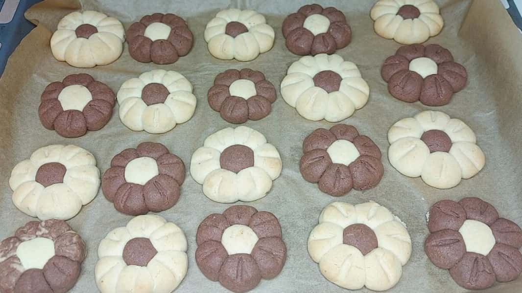 586a04a1aecea5a87406dfb73eb792a0