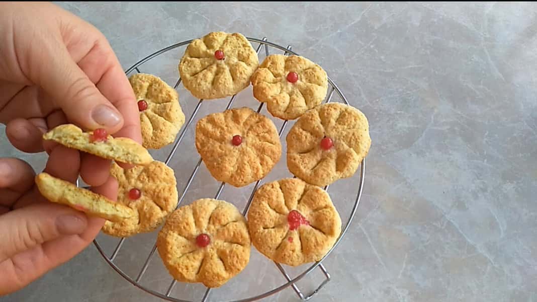 adb5e91a949455018c355a6aa5880871