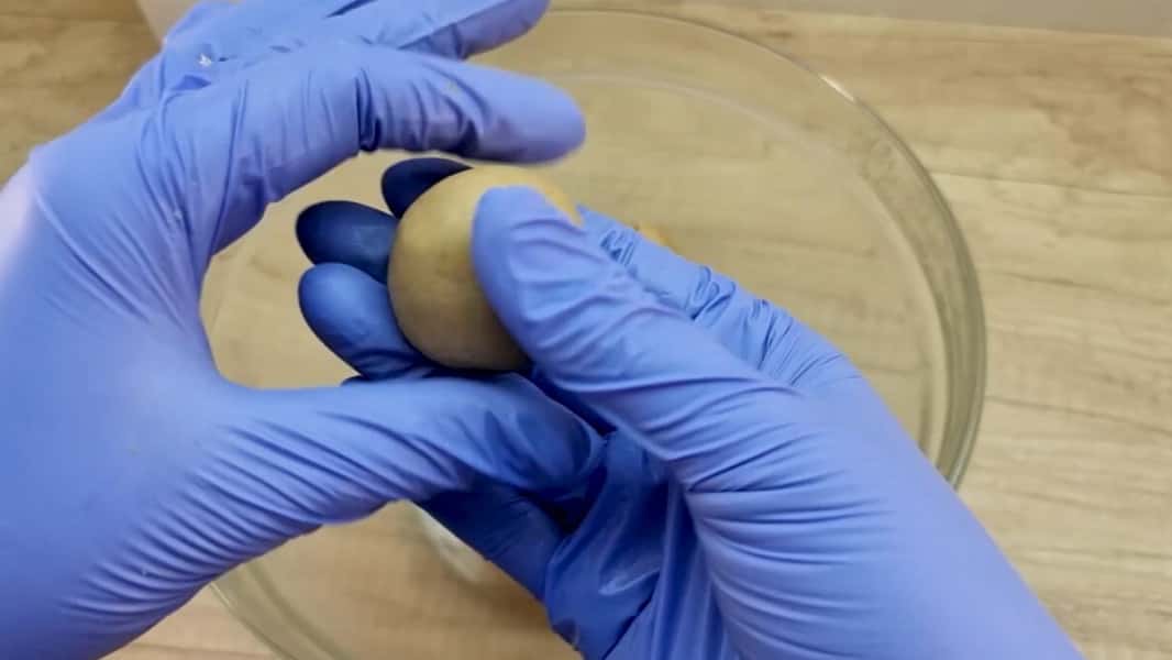 e3484b312340ef1a383530118f527630