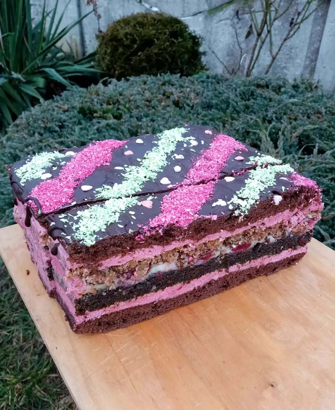 Дуже смачний і гарний в розрізі пляцок "Королівська вишня": шоколадні коржі, мак, вишні, горіхи - розкішний рецепт від української господині