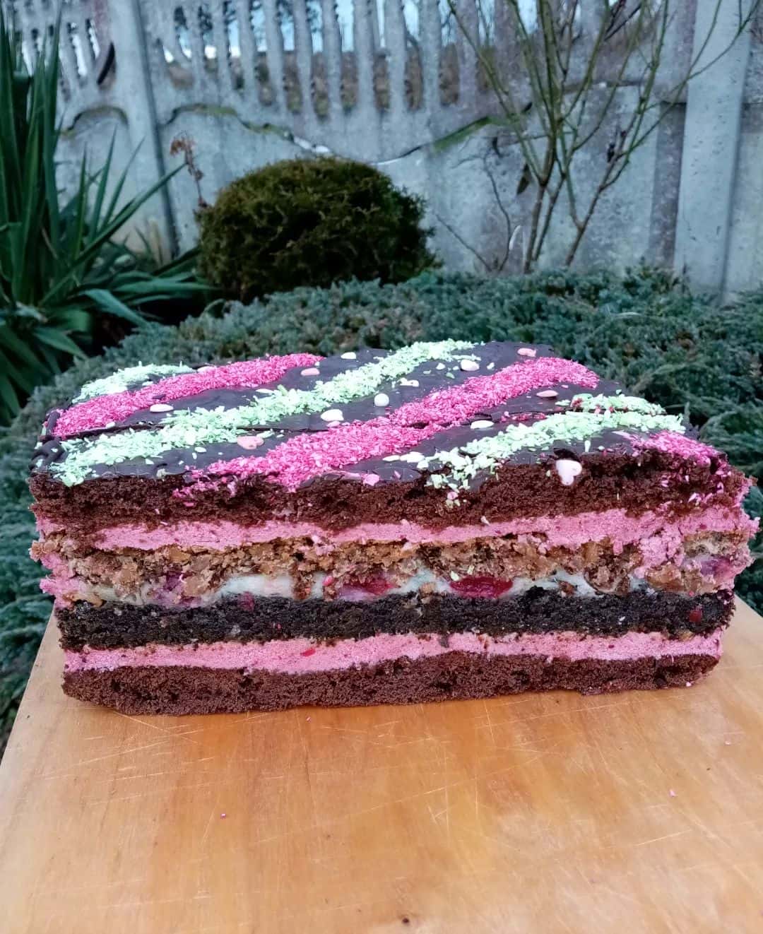 Дуже смачний і гарний в розрізі пляцок "Королівська вишня": шоколадні коржі, мак, вишні, горіхи - розкішний рецепт від української господині