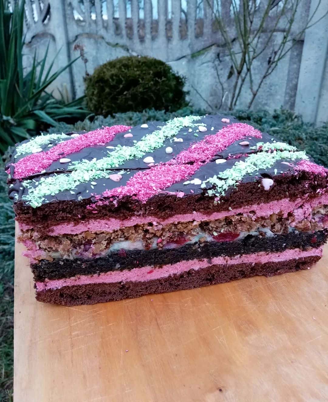 Дуже смачний і гарний в розрізі пляцок "Королівська вишня": шоколадні коржі, мак, вишні, горіхи - розкішний рецепт від української господині