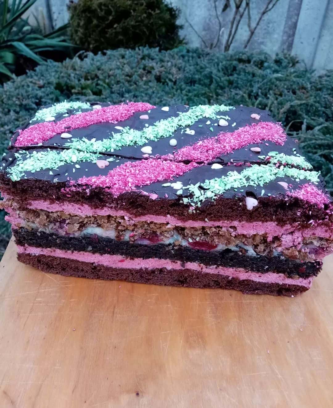 Дуже смачний і гарний в розрізі пляцок "Королівська вишня": шоколадні коржі, мак, вишні, горіхи - розкішний рецепт від української господині