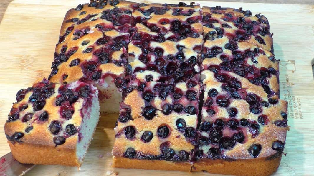 2236ee09283aaf1e033a9f94f09ae2dc