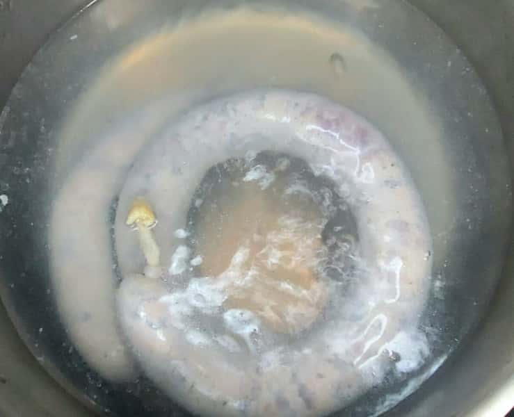 40a747e0d2eb0ae057129ddef7348097